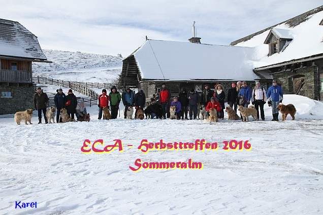 13.11.2016 - Alle beim ECA-Herbsttreffen im Winterland